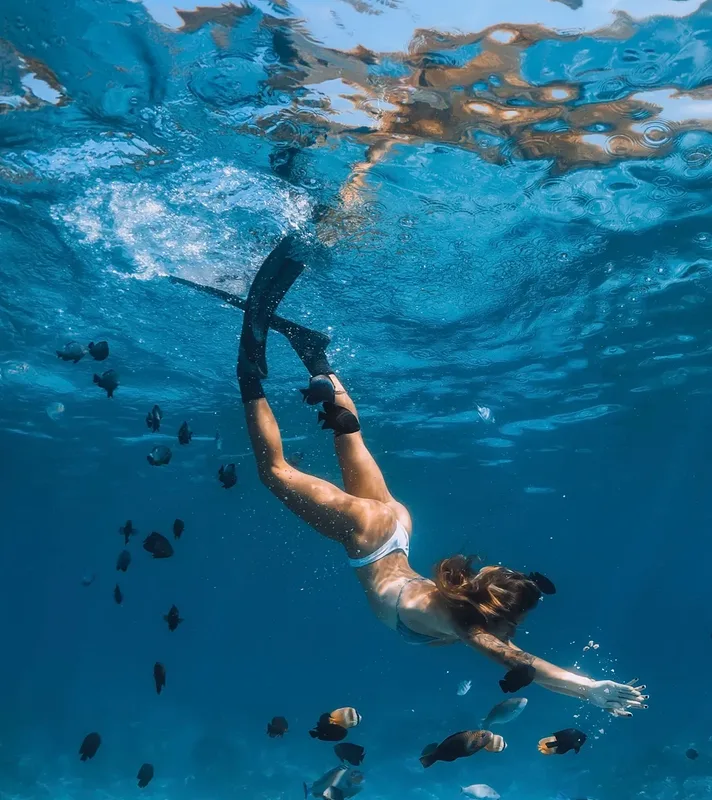Tour de snorkel en Los Cabos