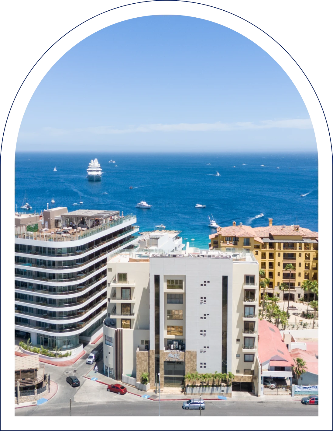 Ilustracion \ ANEMAR